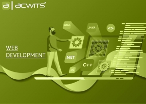 Top Web Development Company in Delhi NCR - Acwits